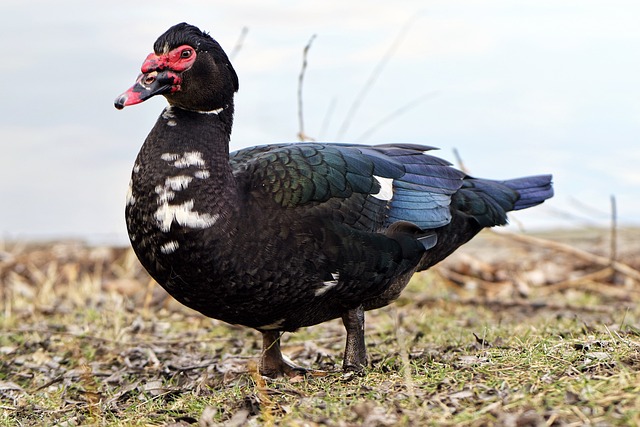 Tjekliste: Alt du skal huske ved flytning af din virksomhed