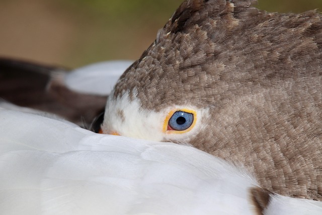 Sådan skaber du sunde søvnvaner for dit barn